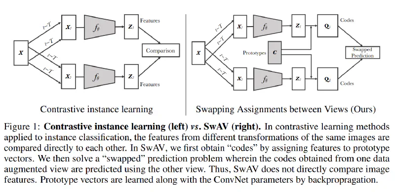 SwAV Architecture